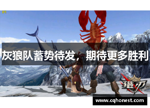 灰狼队蓄势待发，期待更多胜利